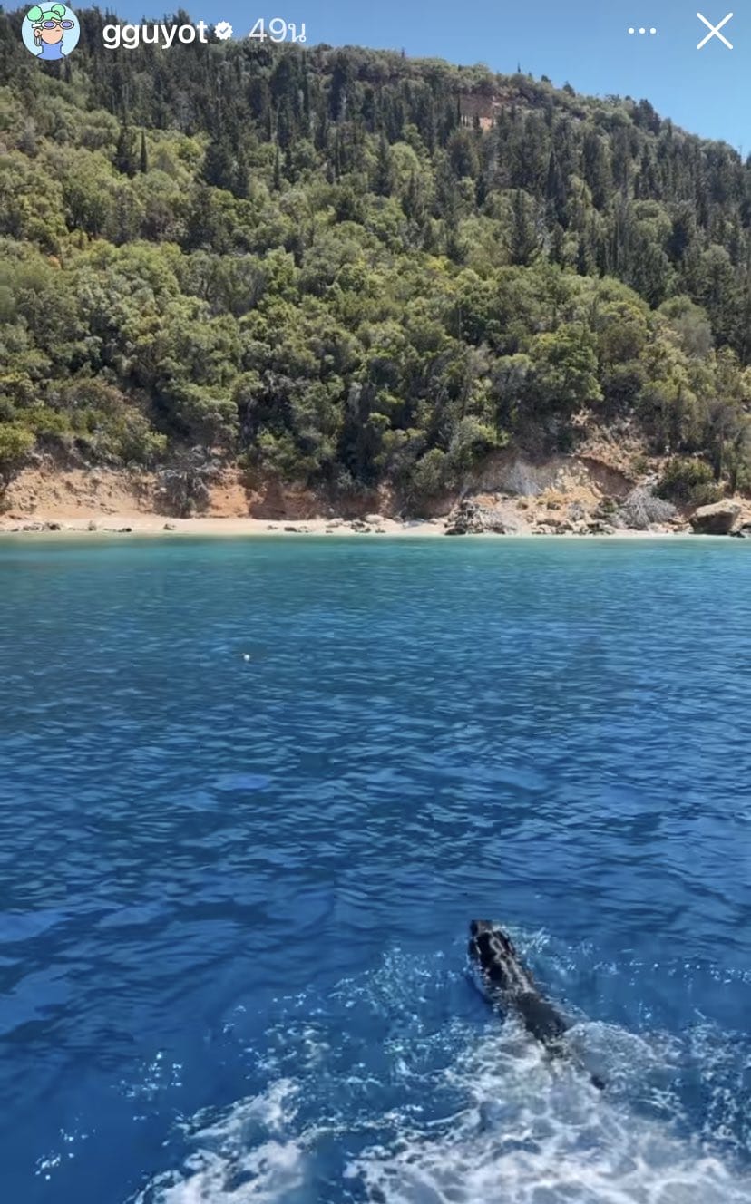 ลิซ่า  BLACKPINK