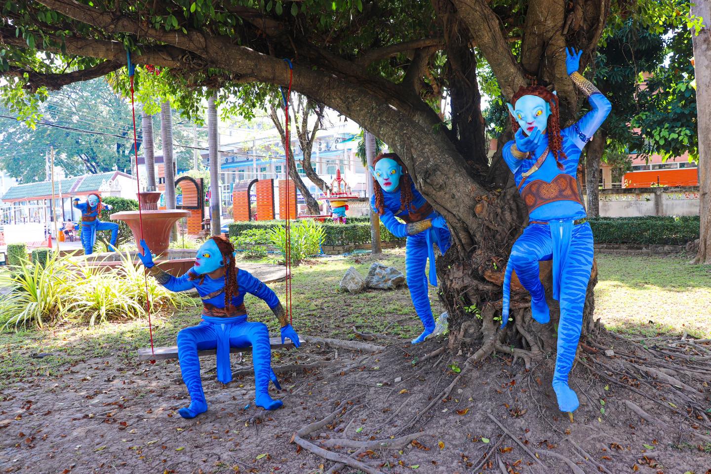 ชาวนาวี