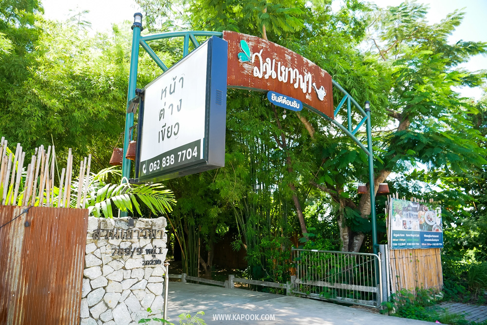 สวนเยาวพา ร้านหน้าต่างเขียว ที่เที่ยวศรีราชา