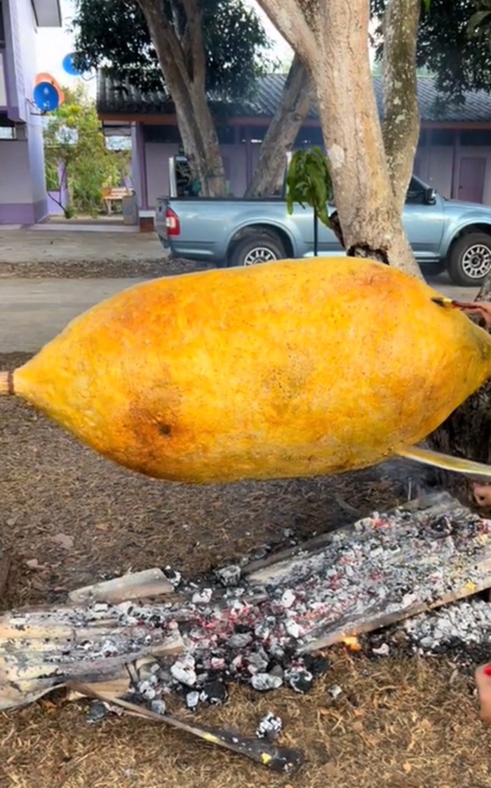 ข้าวจี่ยักษ์