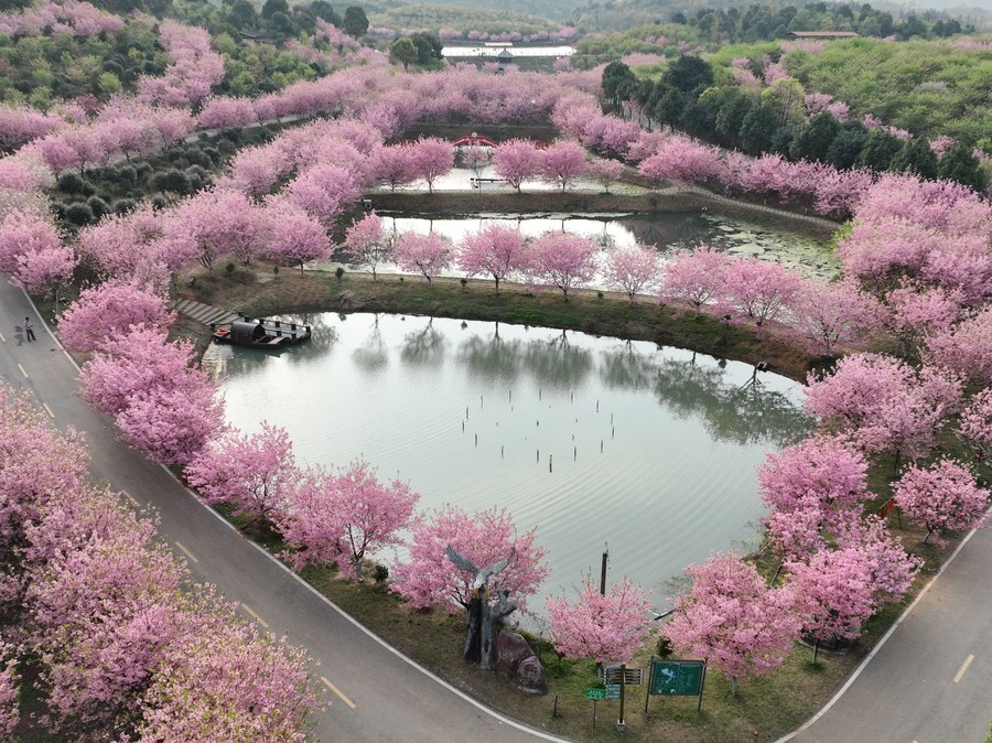 สวนอิงฮวา