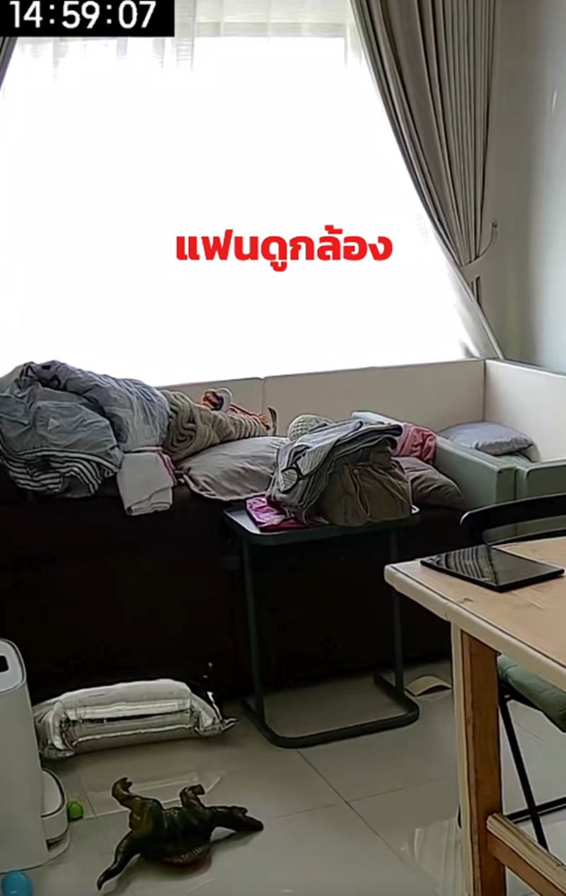 งูแผ่แม่เบี้ย