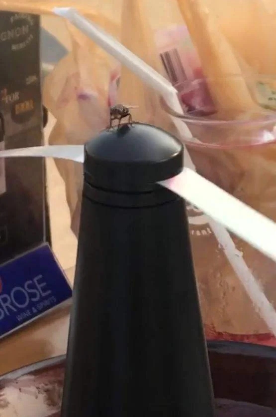 เครื่องไล่แมลงวัน