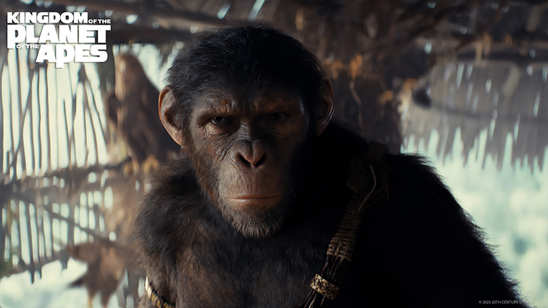 หนัง kingdom of the planet of the apes อาณาจักรแห่งพิภพวานร