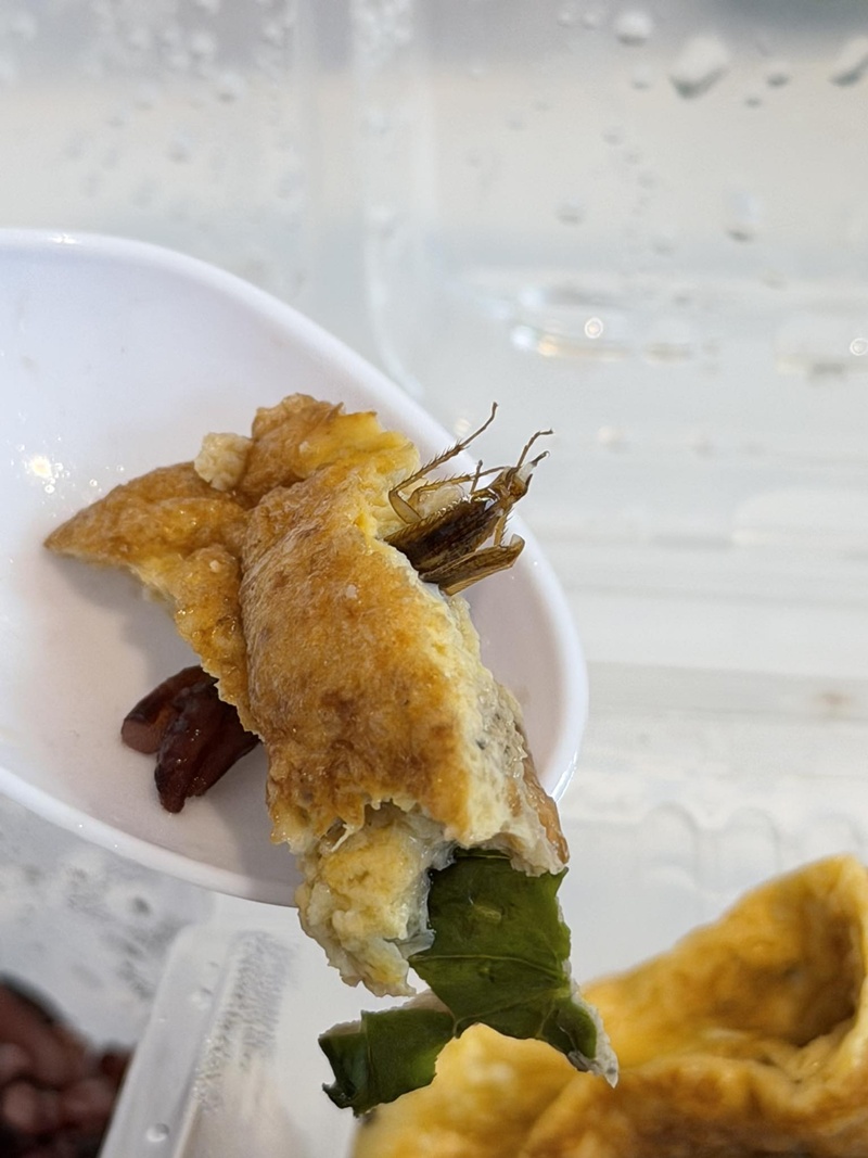 ไข่เจียว