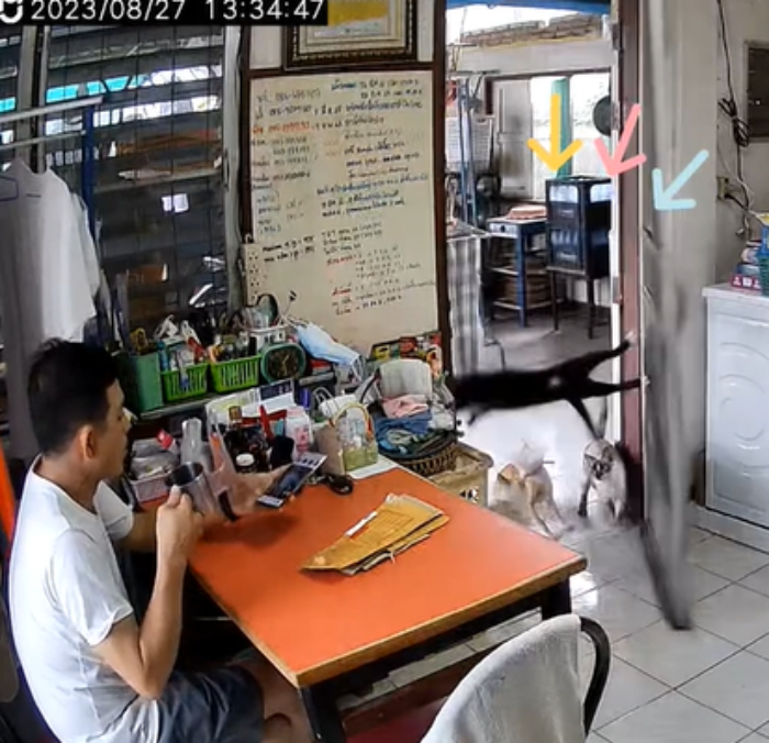 เปิดประตู