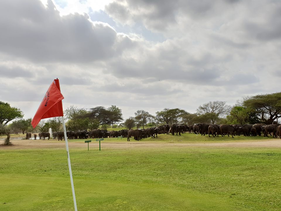 Skukuza Golf Club