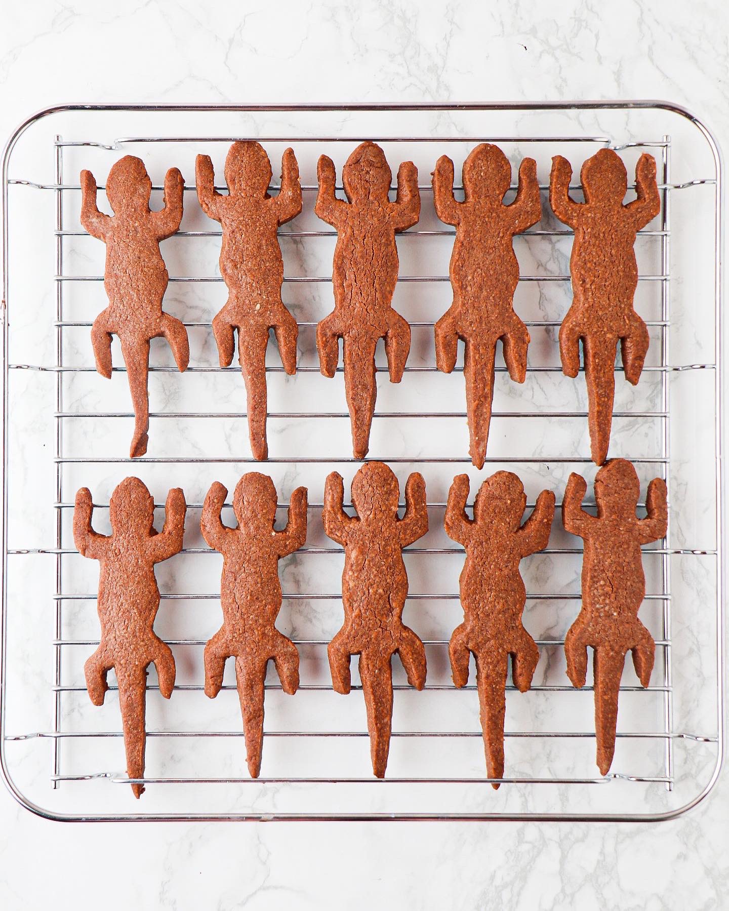 คุกกี้ซาลาแมนเดอร์