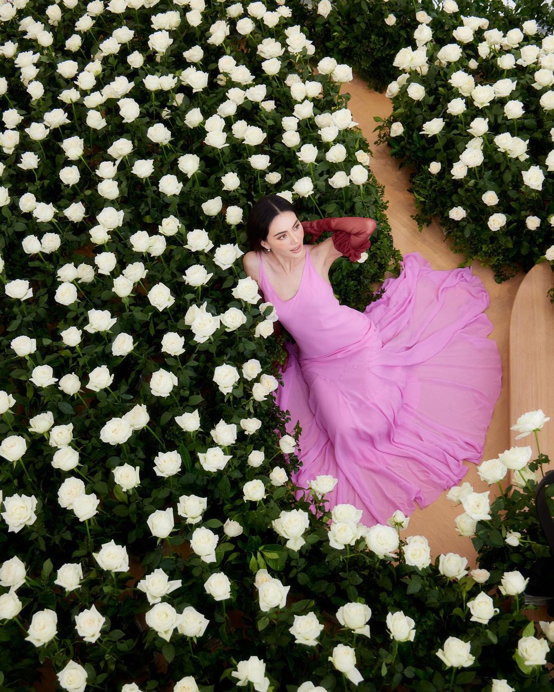 ใหม่ ดาวิกา, เต๋อ ฉันทวิชช์