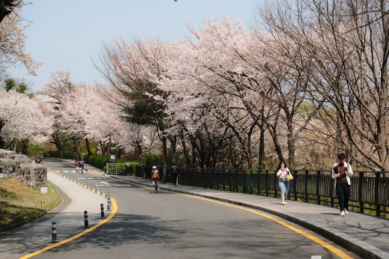 Namsan Seoul Tower