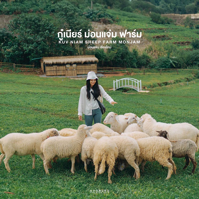 กู๋เนียร์ ม่อนแจ่ม ฟาร์ม