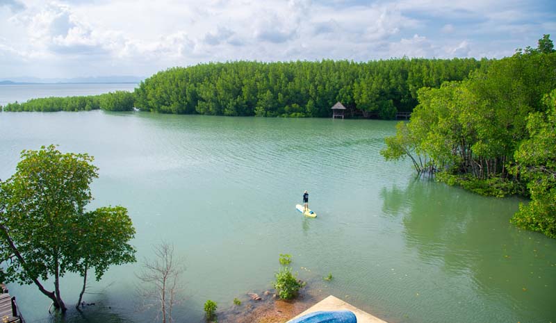 พายเรือคายัก หมู่เกาะชุมพร