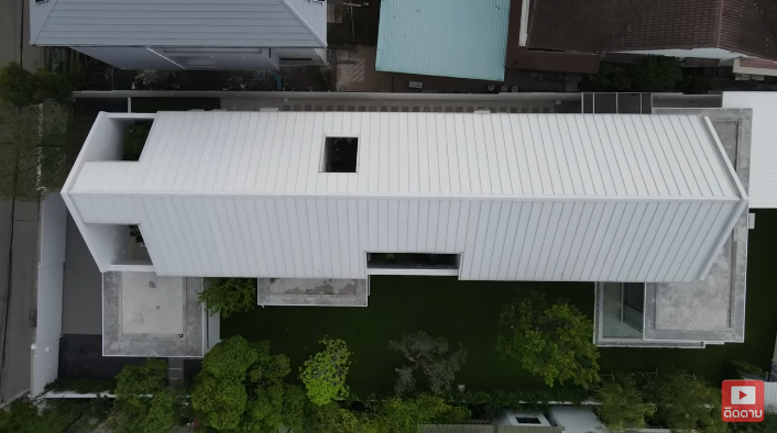 แดน แพทตี้