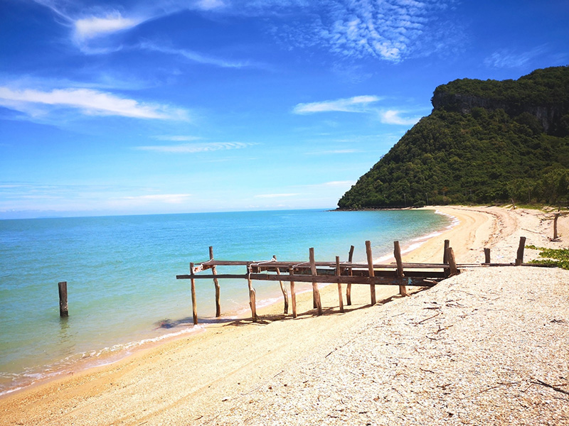 เกาะนกเภา สุราษฎร์ธานี