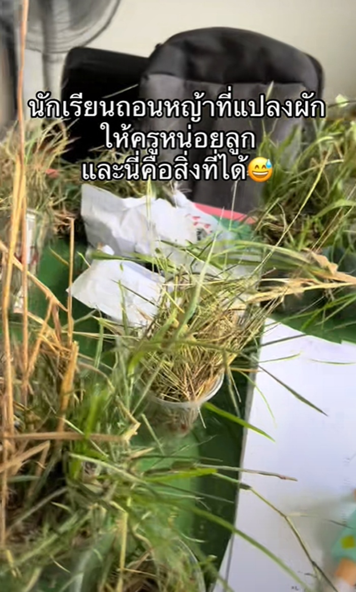 ถอนหญ้า