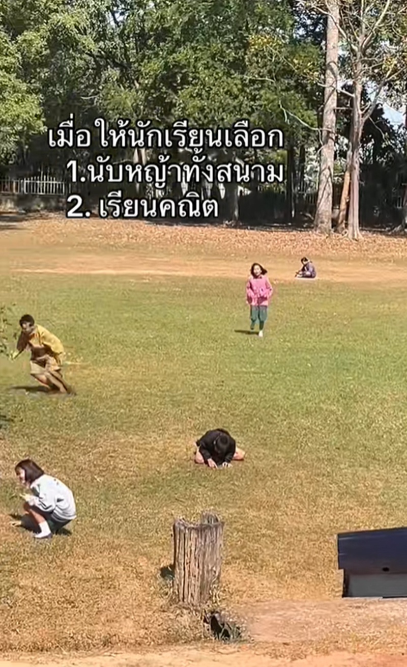 เรียนเลข
