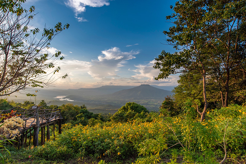 ภูป่าเปาะ ที่เที่ยวหน้าฝน 2569
