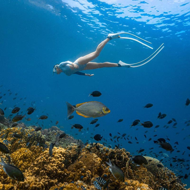 จูน กษมา