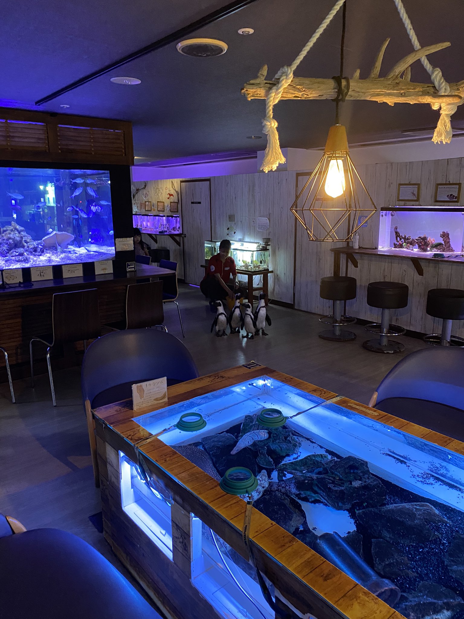 พิพิธภัณฑ์สัตว์น้ำ