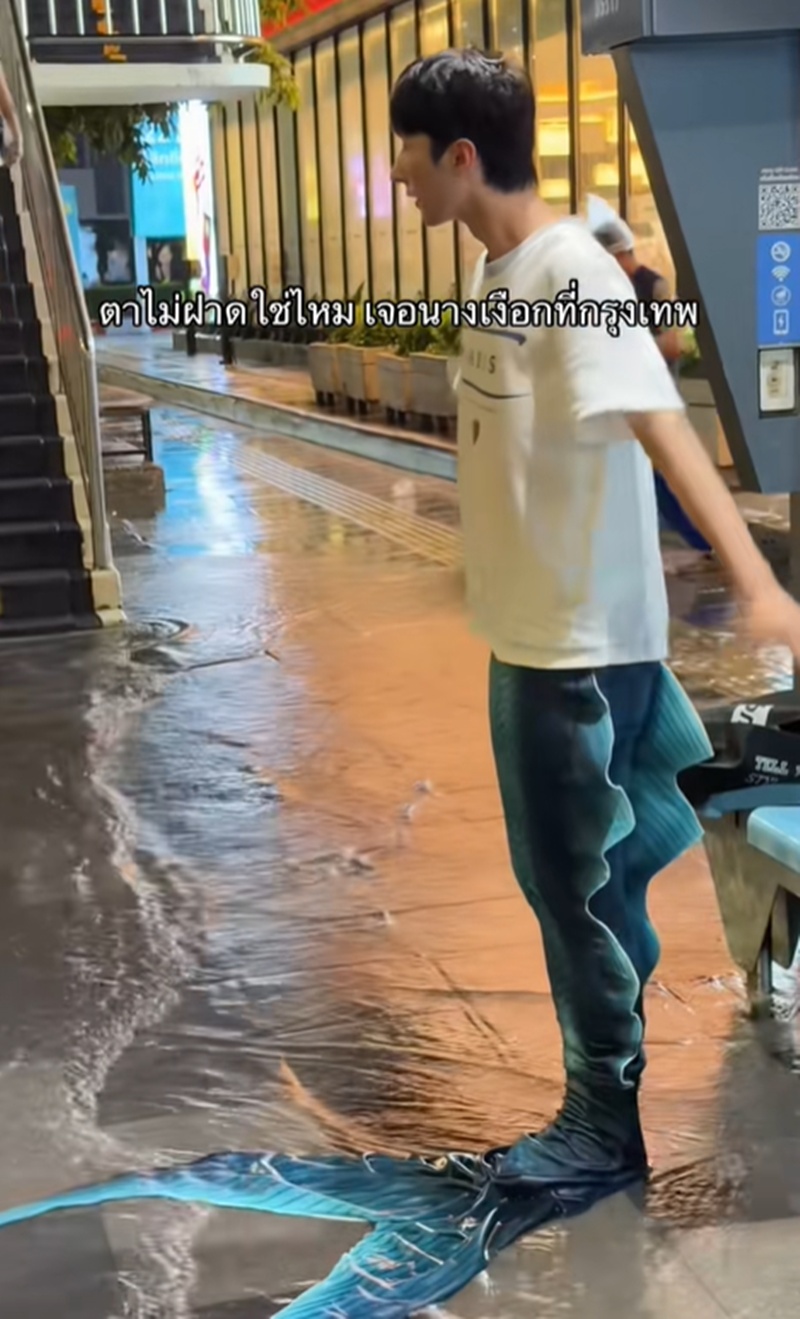 นางเงือก