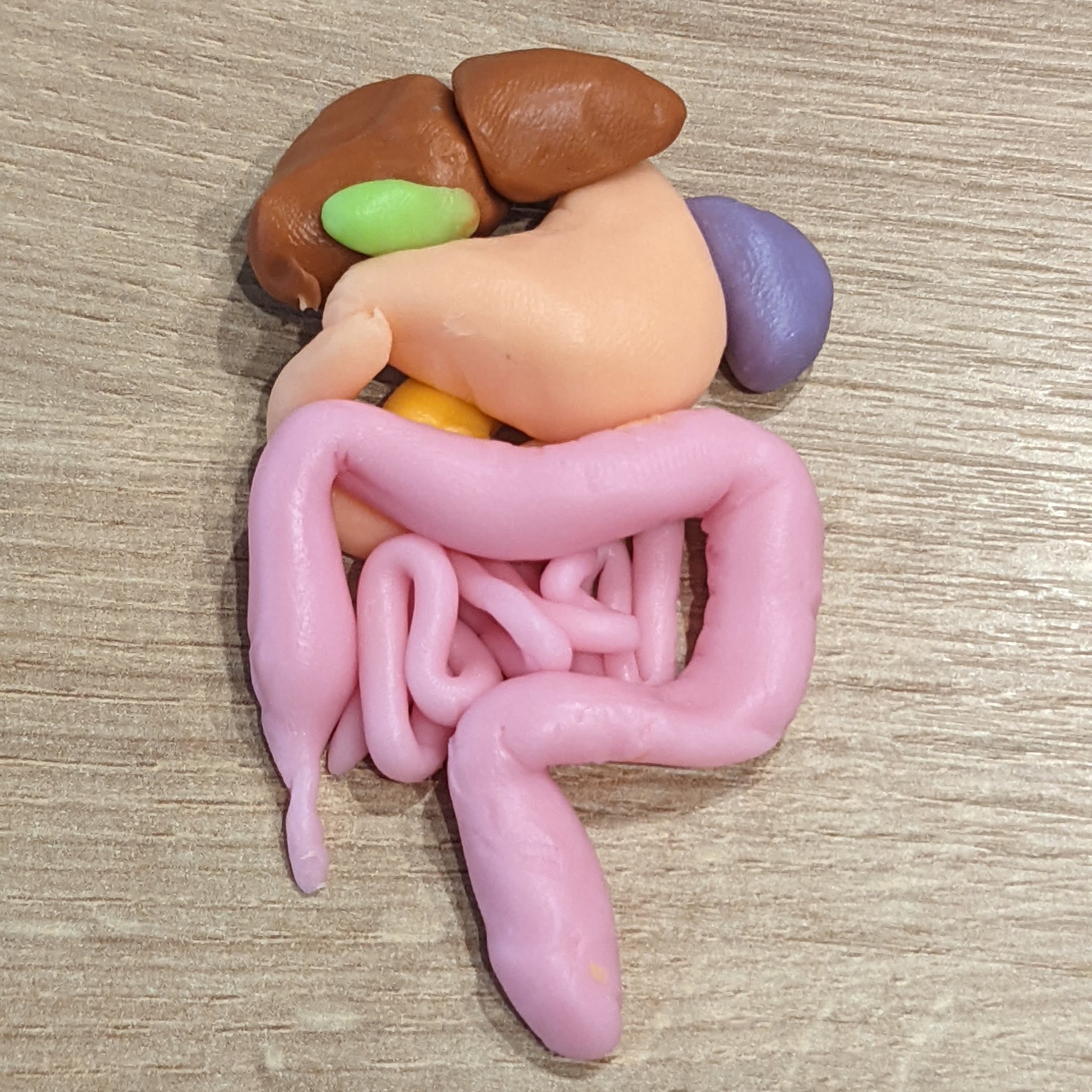 ปั้นดินน้ำมัน