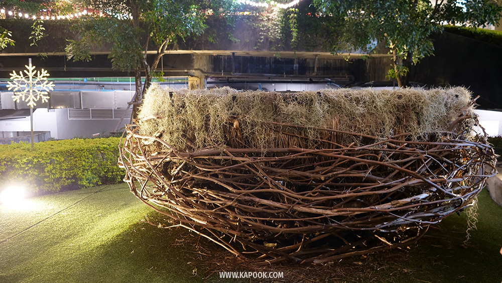 ดูไฟคริสต์มาส