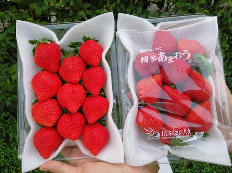 ร้านผลไม้ออนไลน์