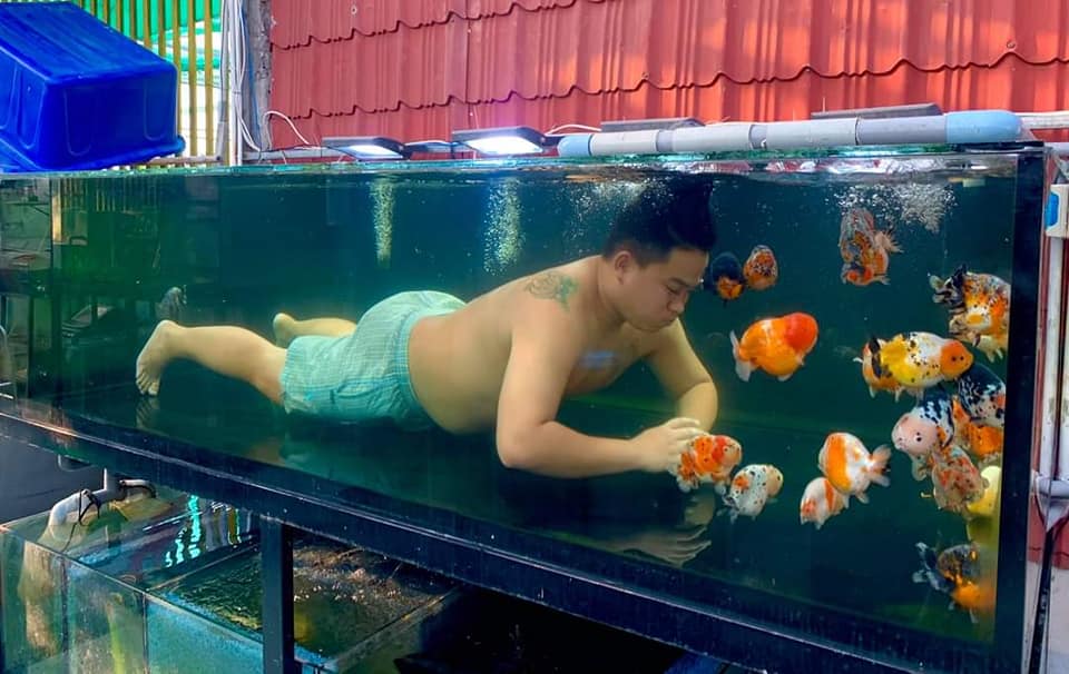 เลี้ยงปลา