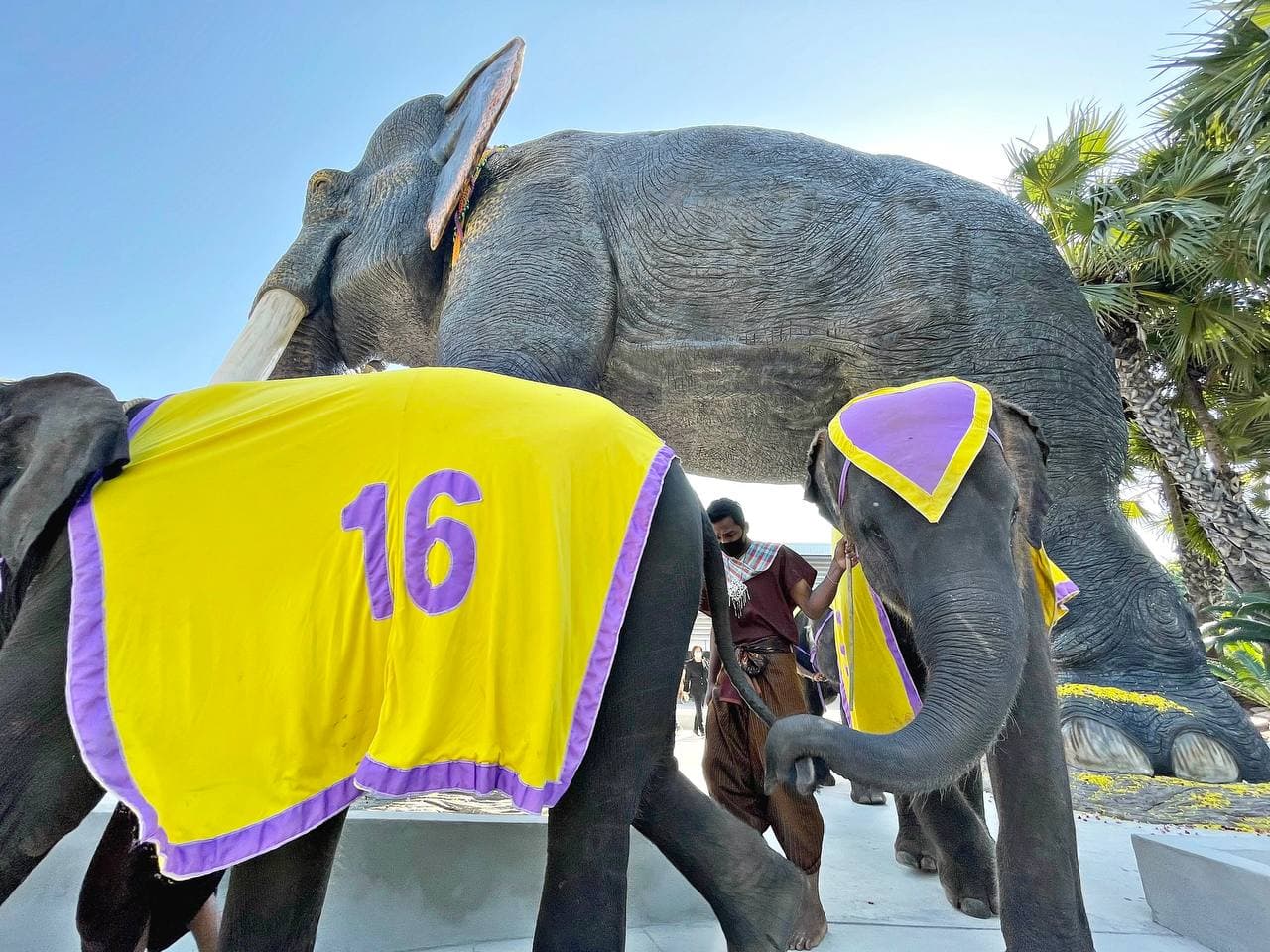 สวนนงนุช พัทยา เปิดตัวรูปปั้น พญาคชสาร