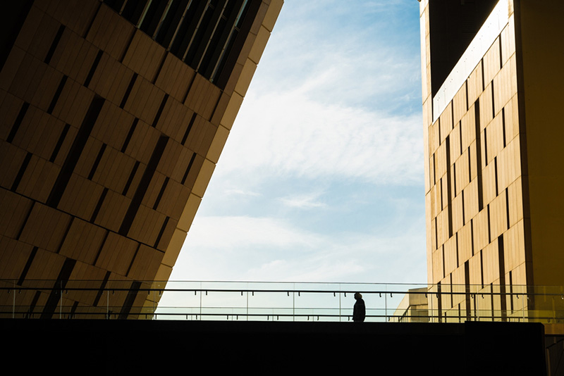 พิพิธภัณฑ์แกรนด์อียิปต์ Grand Egyptian Museum
