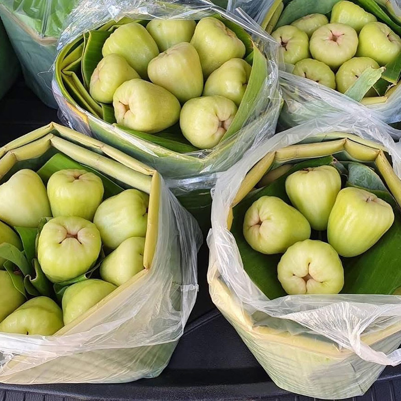 เชน ณัฐวัฒน์ ผันตัวเป็นพ่อค้า ชมพู่เพชรแท้