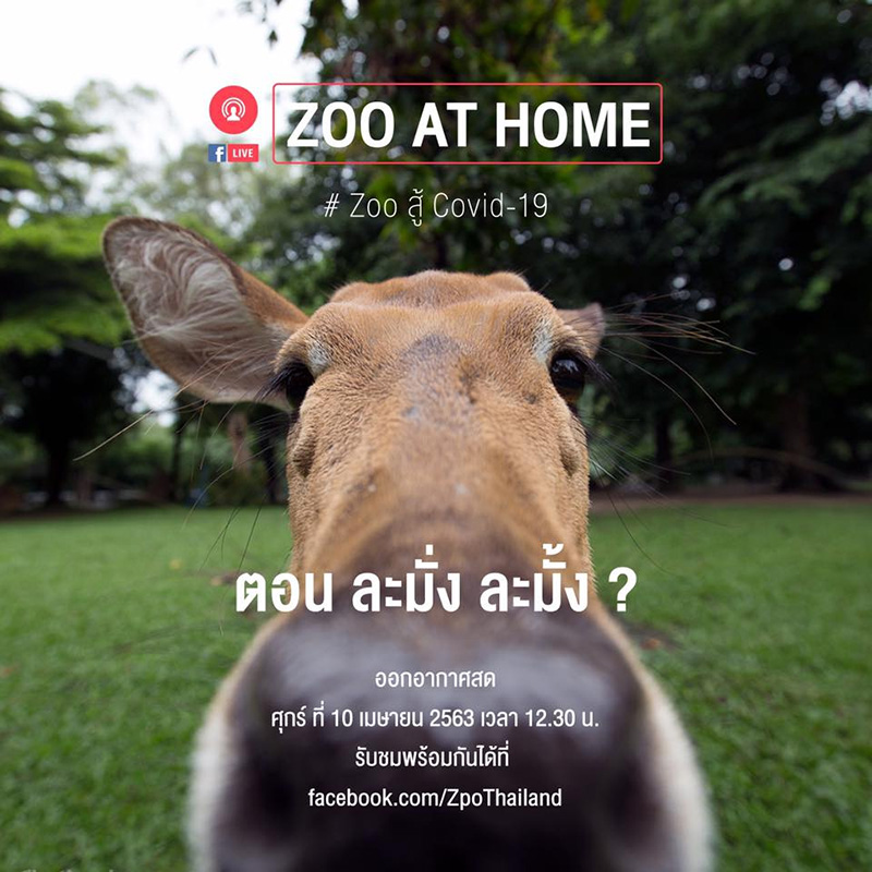 สวนสัตว์ออนไลน์