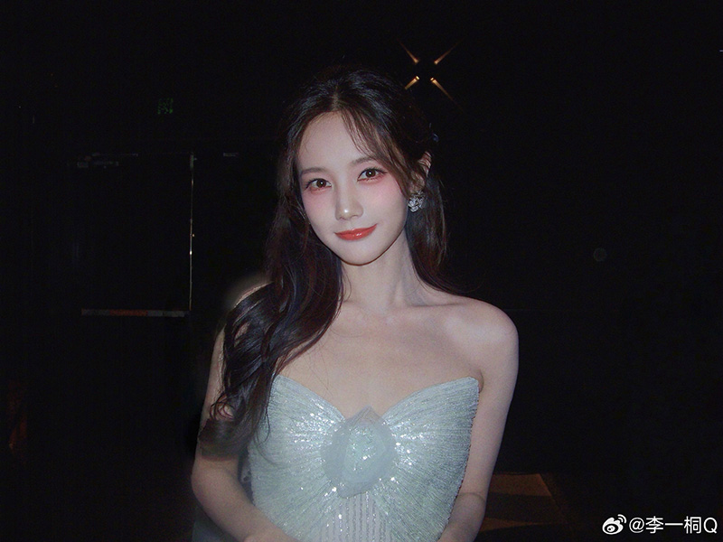 หลี่อี้ถง ประวัติ