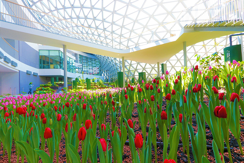 เที่ยวเดือนเมษายน 66