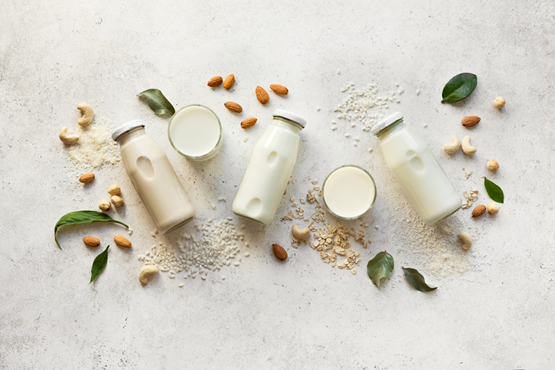 plant based protein