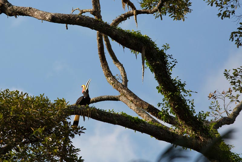 ที่เที่ยวนราธิวาส