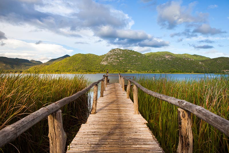 ช่องสะเดา