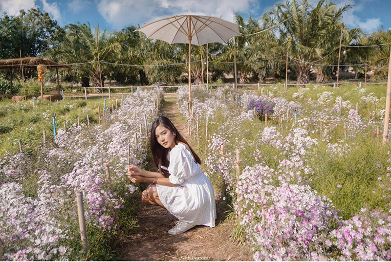 สวนดอกไม้ลุงชัย ราชบุรี