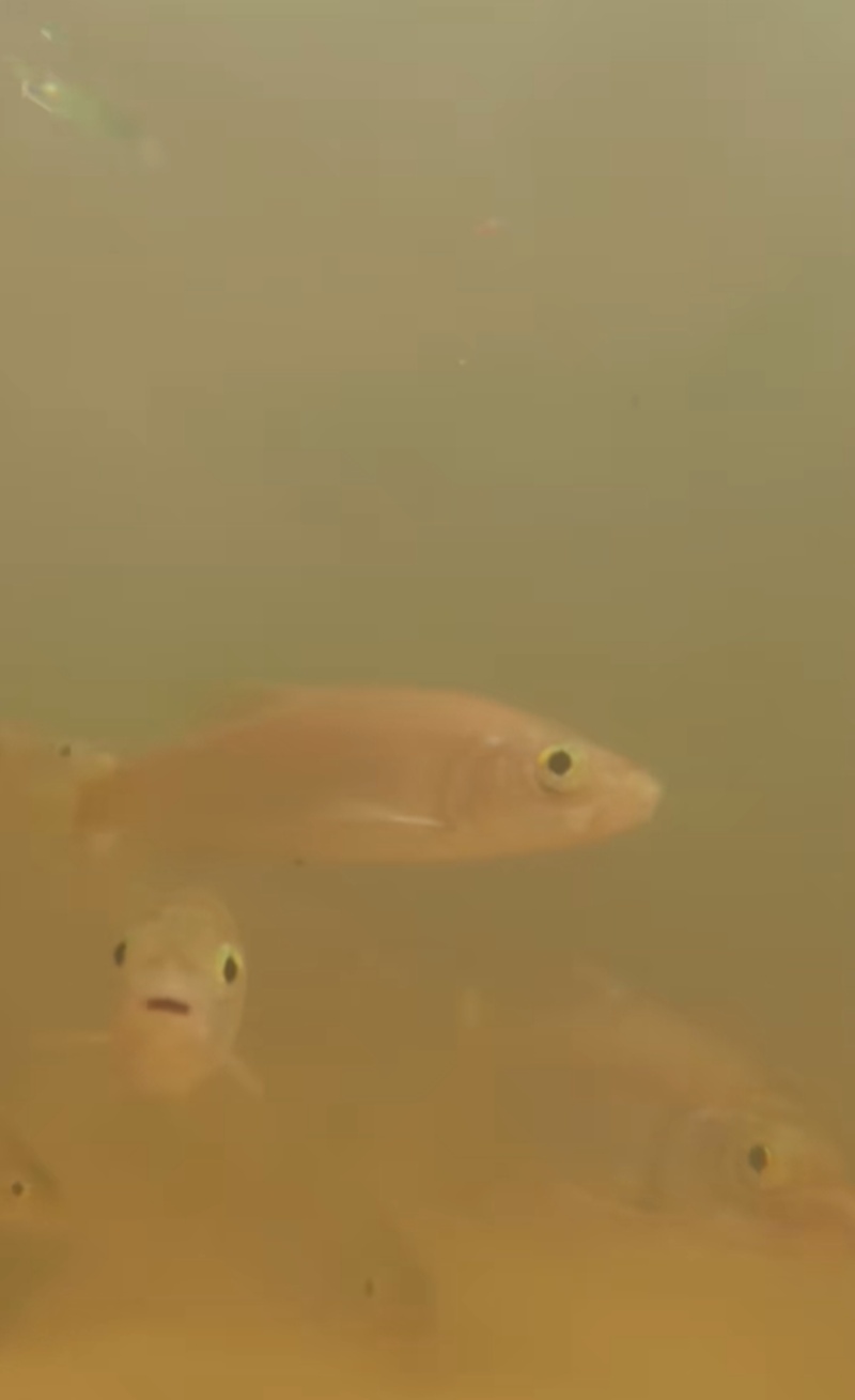 นักท่องเที่ยว