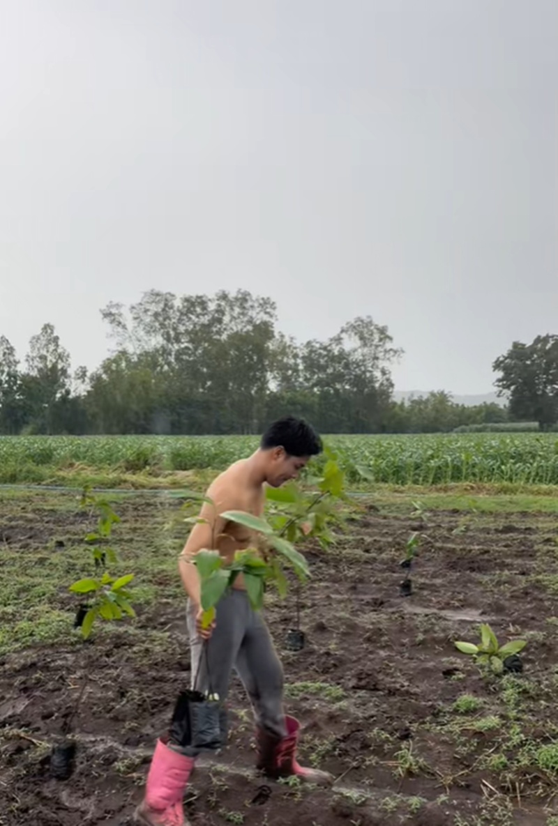 เพ็ชร ฐกฤต