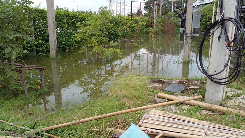 นุ้ย สุจิรา น้ำท่วม