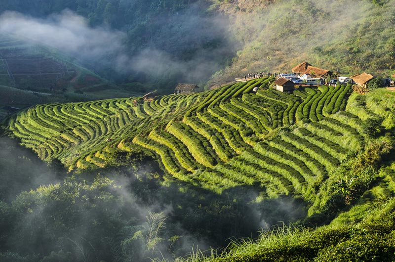 สถานที่ท่องเที่ยวเชียงใหม่
