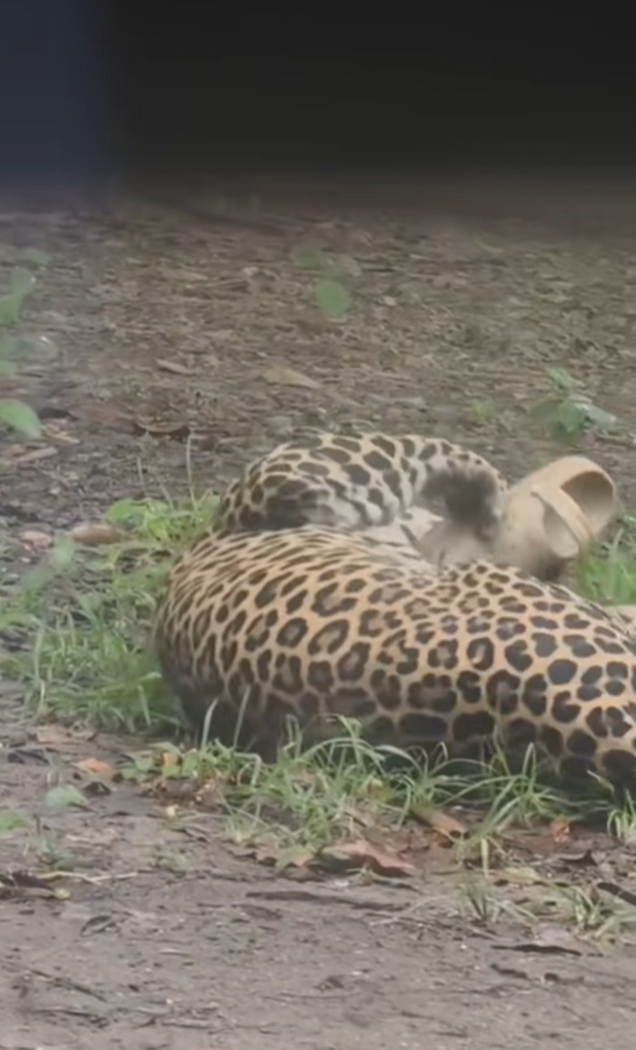 ขโมยของ