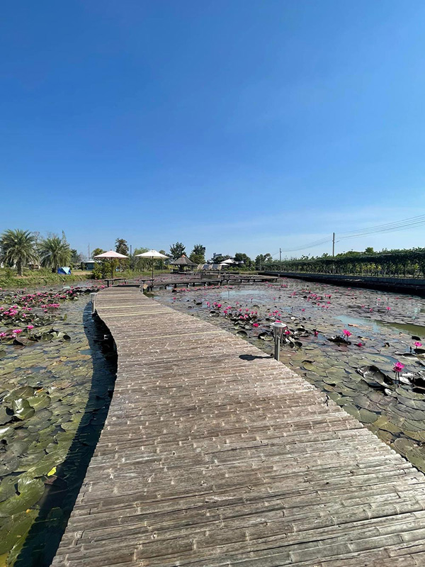 ร้านกาแฟบุรีรัมย์