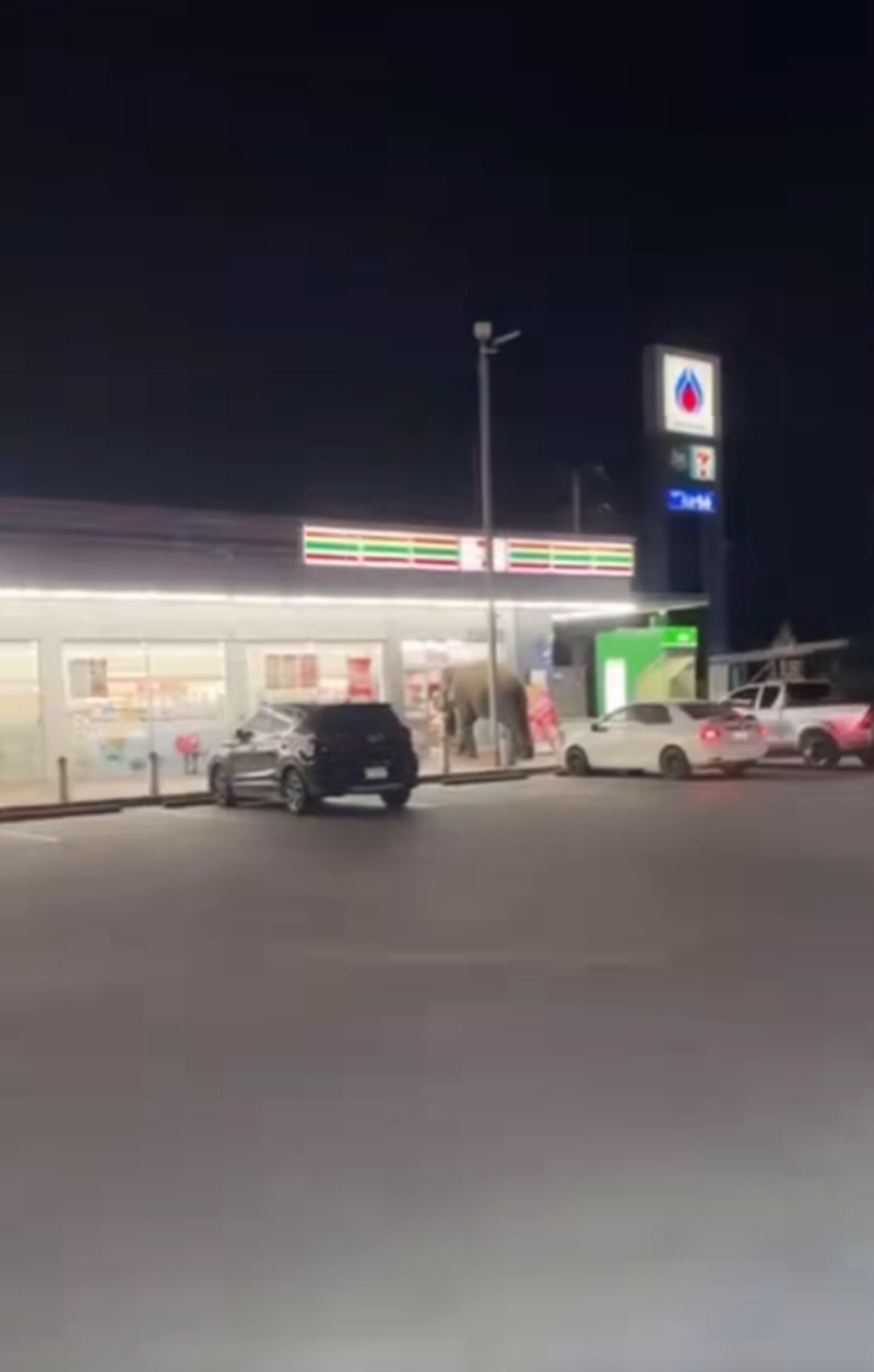 เข้าเซเว่น