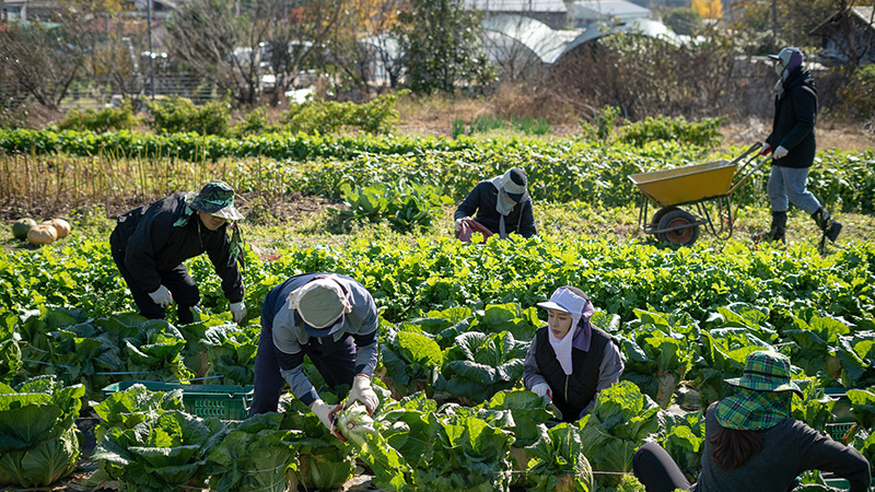 เรื่องย่อ อีแหล่ แอรี่ เกาหลี โอปป้า หนังไทย หนังใหม่มีนาคม 2026 หนังใหม่ 2026 ภาพตัวอย่าง