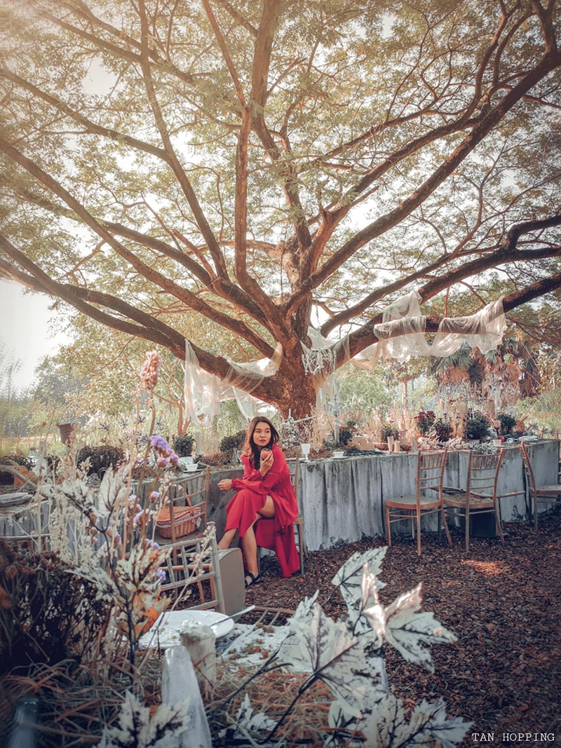 งานรักดอกราชบุรี