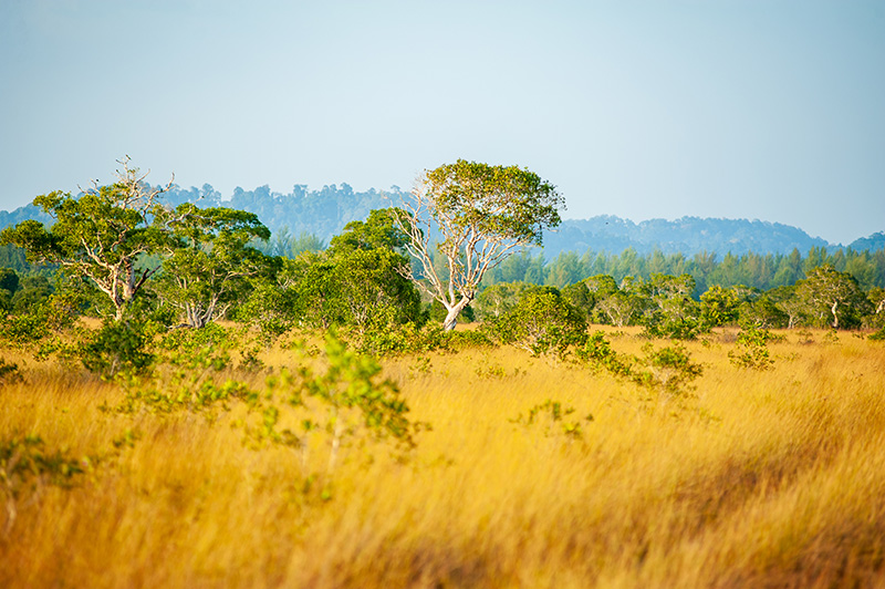 เกาะพระทอง ที่เที่ยวเดือนมีนาคม 2569