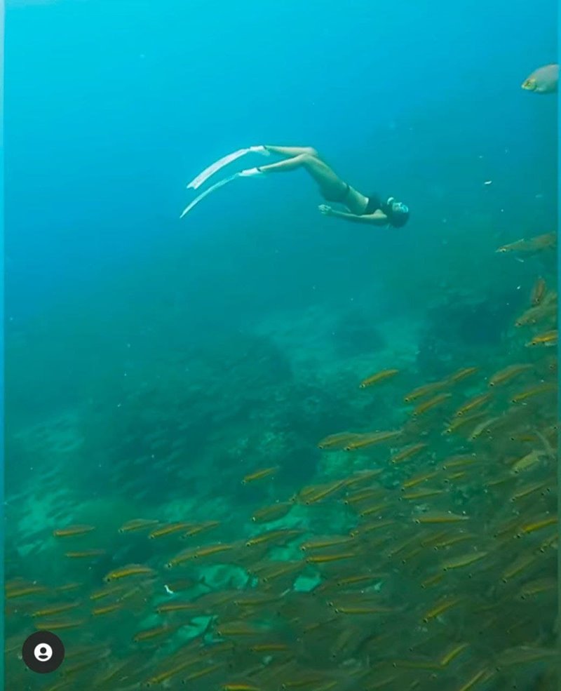 นท เดอะสตาร์