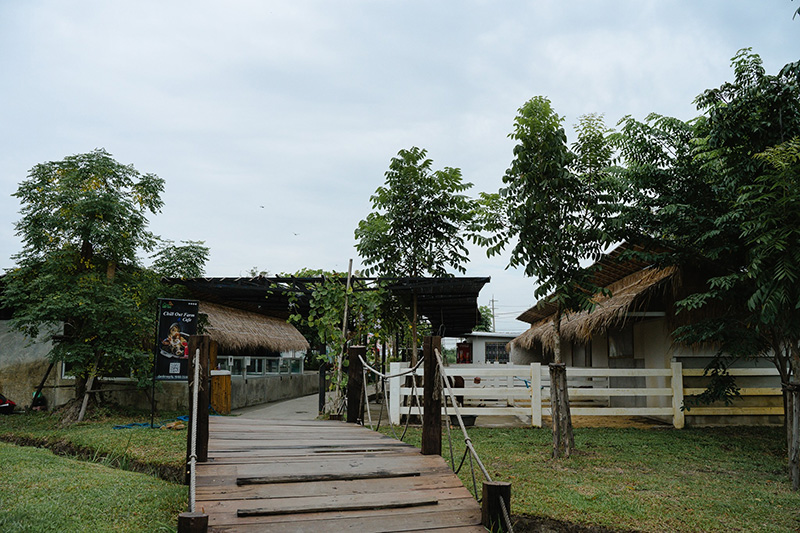 ร้านคาเฟ่สัตว์